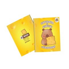 Mini Notebook Series